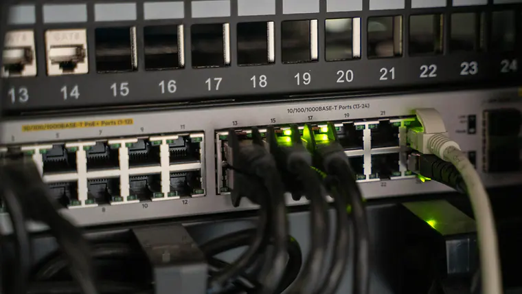 Close-up of Ethernet cables connected to a network switch.